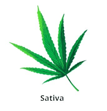 Curalieve 10K CBD Gummies Vegan, Non-GMO, and Fast-Acting Relief